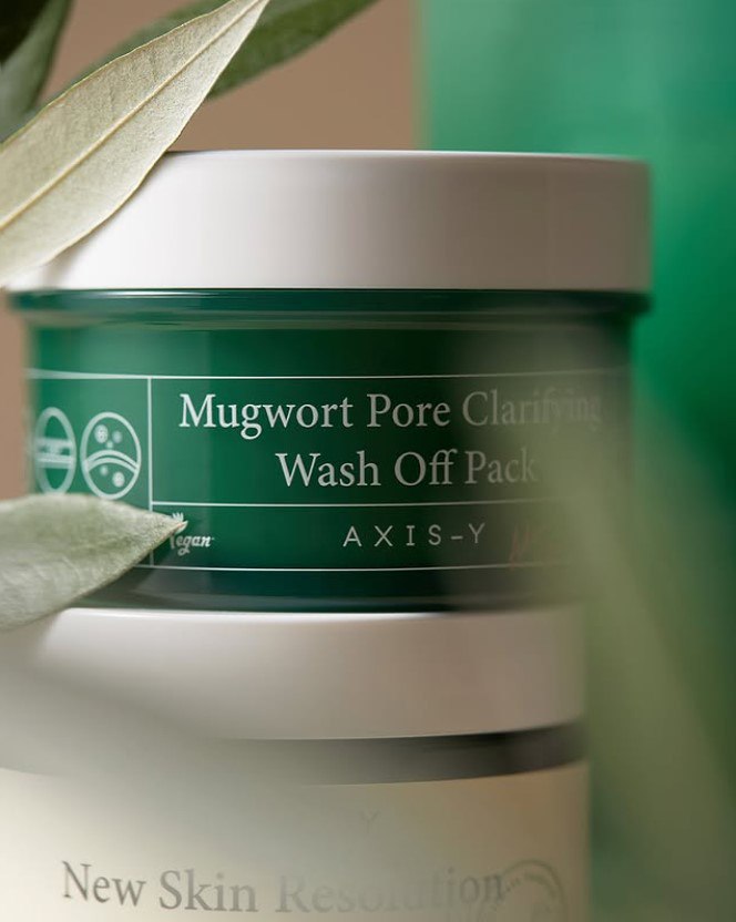 AXIS-Y Mugwort Pore Clarifying Wash Off Pack 100 ml