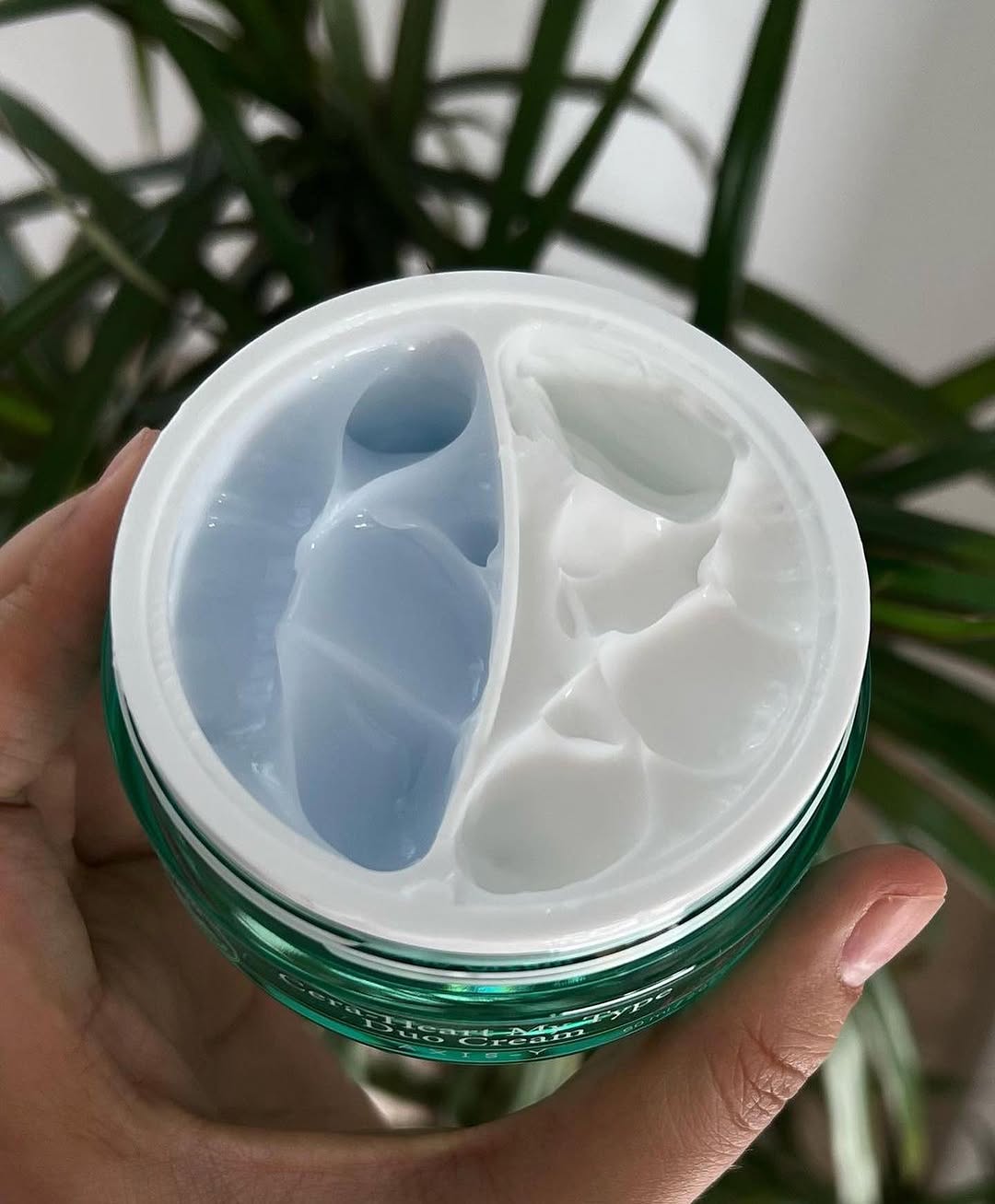 AXIS-Y Cera-Heart My Type Duo Cream 60 ml