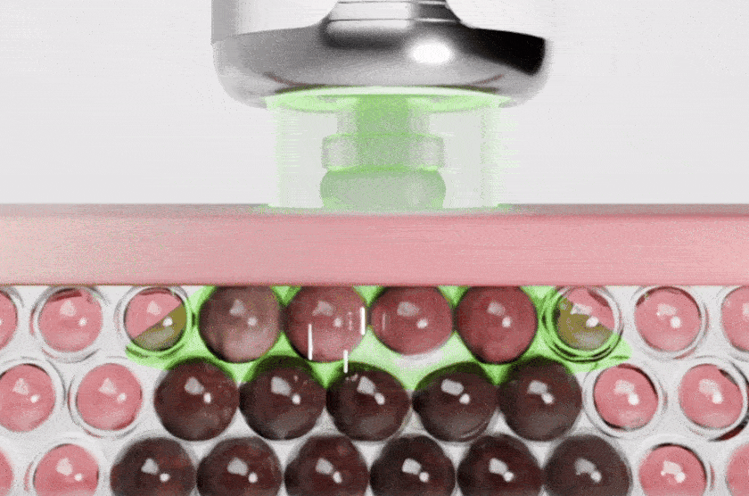 CELLOLOGY MELITURN SHOT GUN – dettaglio 6