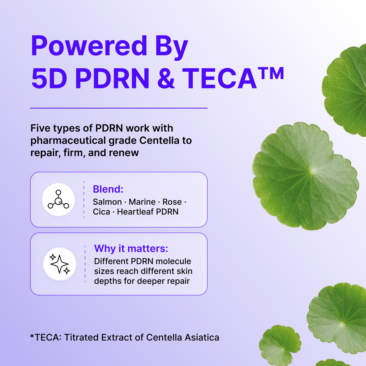 Centellian24 Expert Madeca Cream Active Renew PDRN – 50 ml - dettaglio e utilizzo