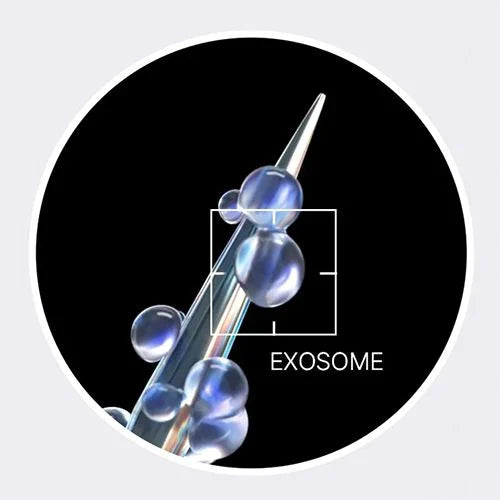MEDICUBE One Day Exosome Shot Pore Ampoule 2000 30 ml